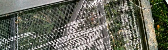 Window Screen Repair