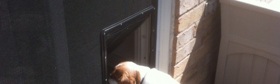 Pet Screen Doors